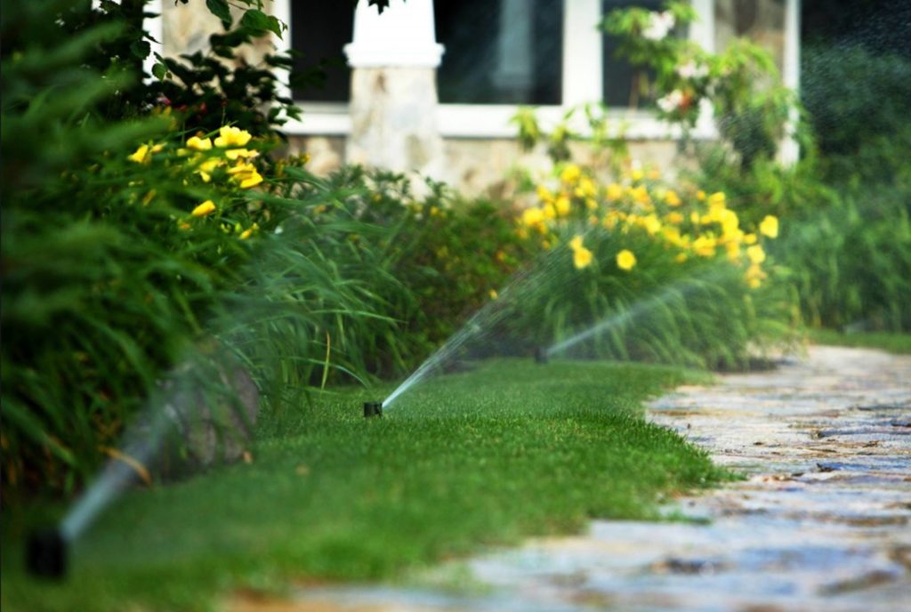 Mowing & Maintenance